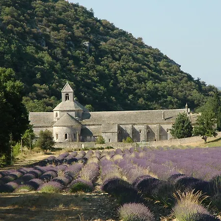 & Lou Paradou Les Bains מלון דירות Gréoux-les-Bains
